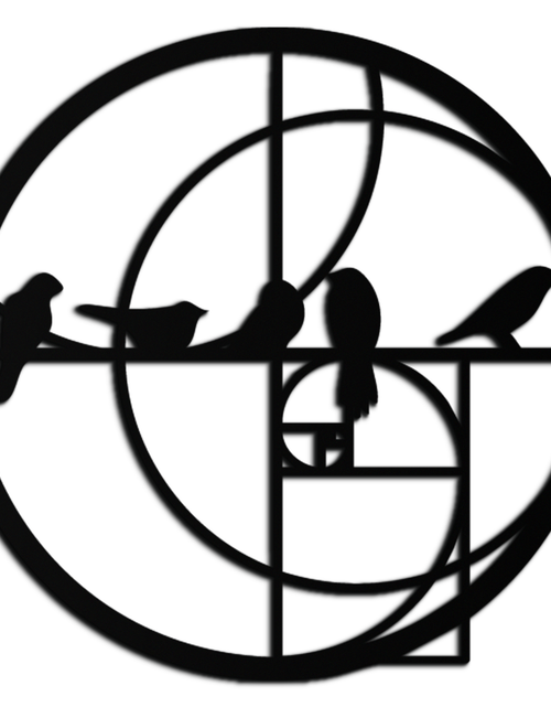 Resmi Galeri görüntüleyicisine yükleyin, Altın Oran Kuşları Metal Duvar Sanatı – Fibonacci Spiral ve Kuş Silüeti Siyah Çelik Dekor Modern İç Mekanlar İçin - KAF410
